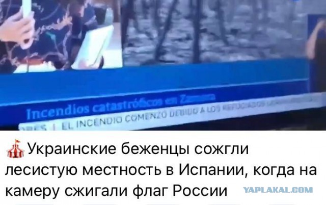 Пандемия съехавших крыш - разновидности болезни. Россия и мир. Часть 38