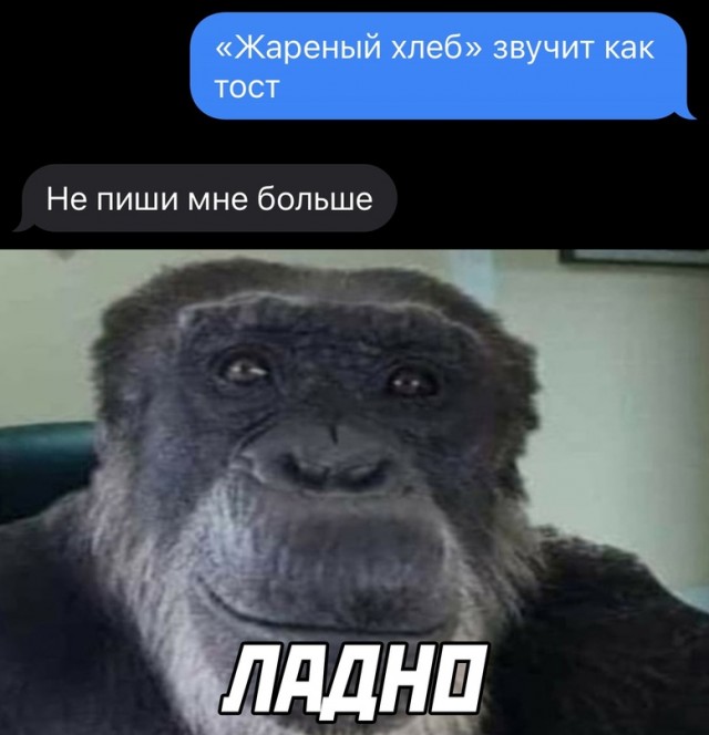 Весёлый полтишок 04.11.22