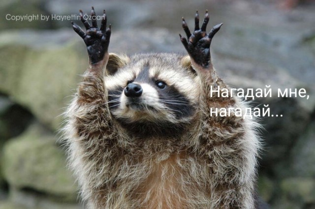 Наказывать ли женщину?