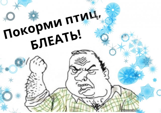 А я птиц так кормлю