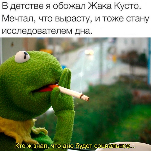 Весёлый полтишок 05.12.22