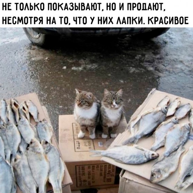 Картинки и мемы, всем хороших выходных