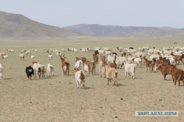 В Монголию на мотоциклах 2006