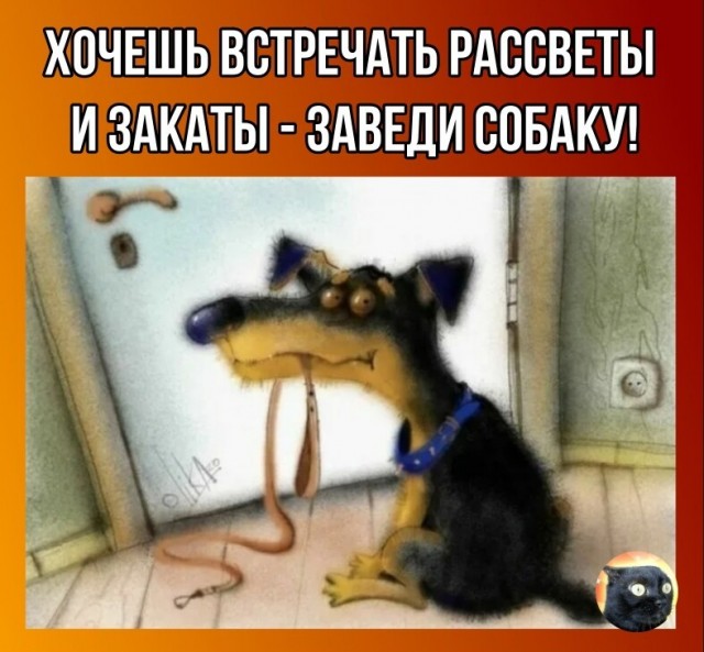 Немного картинок для настроения - 161