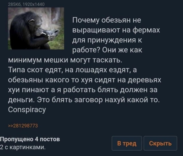 Нуштош 01.07.2023