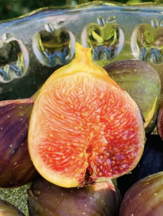 Гурзуф, август 2023г. Собственный урожай инжира