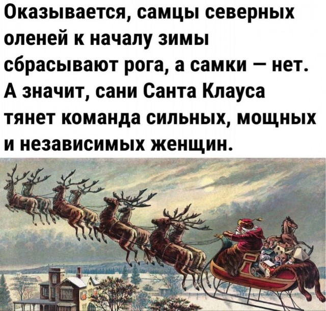 Фотосмесь 21.12.23