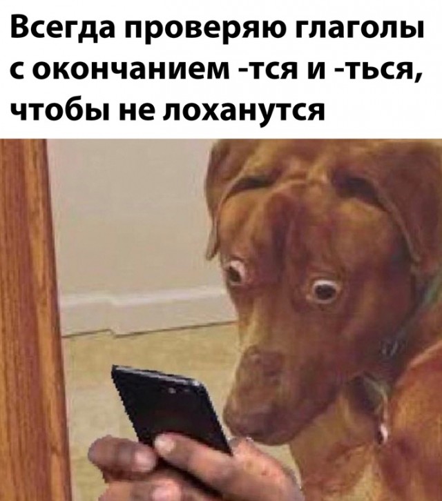 Весёлый полтишок 23.01.24
