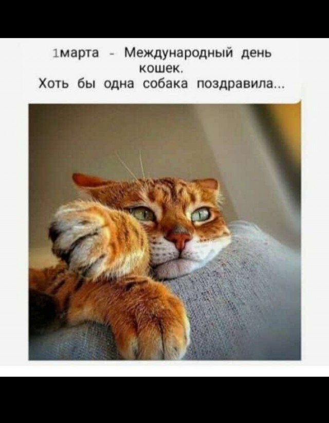 А иногда бывает и так...
