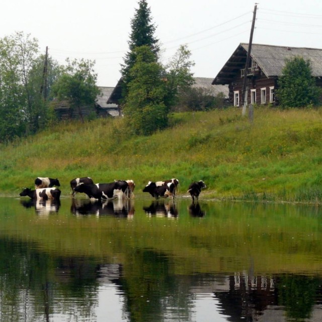 Скоро кончится лето. Это…