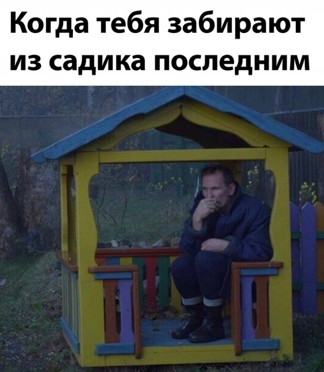 Весёлый полтишок 27.09.24