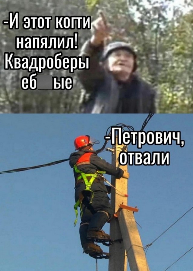 Нуштош 17.10.2024