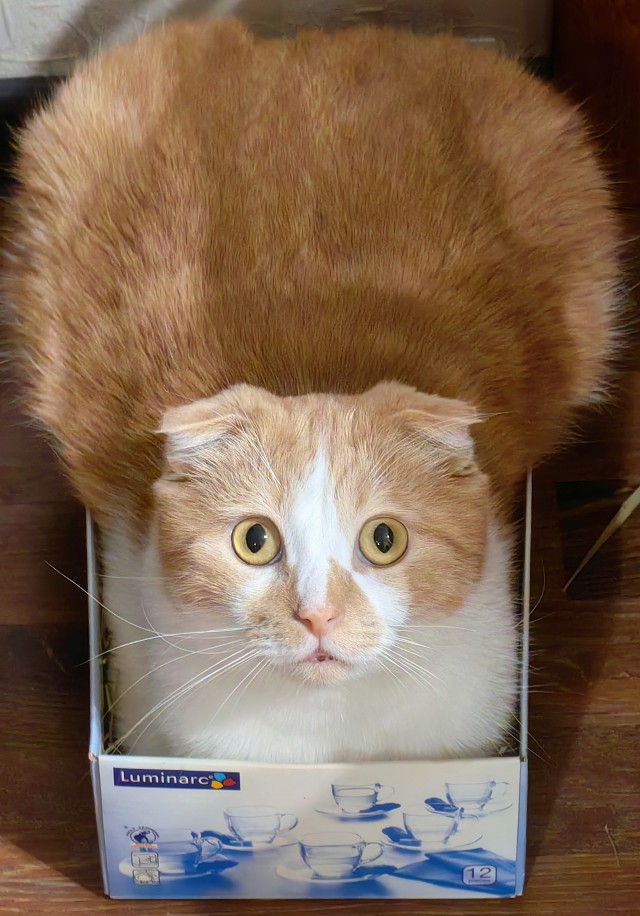 Котэ