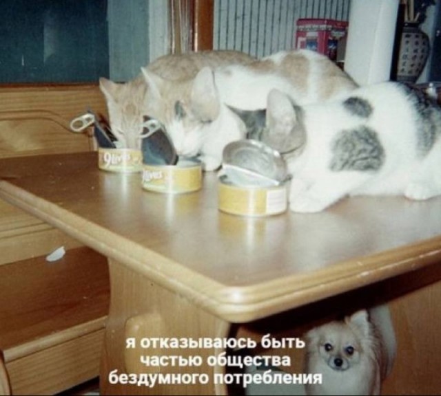Всего понемногу. От 08.12.24