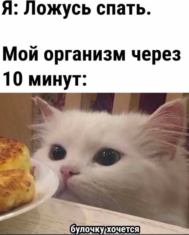 Немного забавных картинок от 13.02.2025