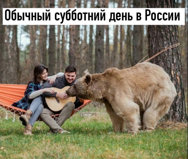 Так себе картинки 14.03.25