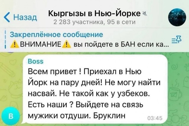 Веселые картинки в последний день марта (31.03)