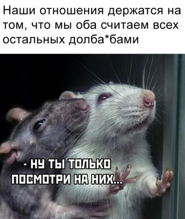 Юмор для тех, кто уже повзрослел и понял, что счета приходят быстрее, чем зарплата