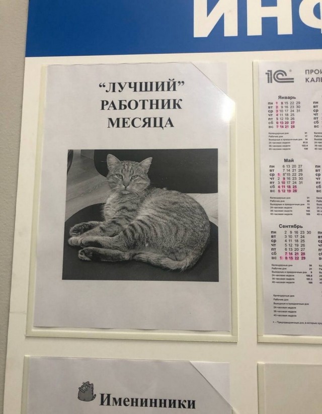 Прикольные и просто красивые картинки