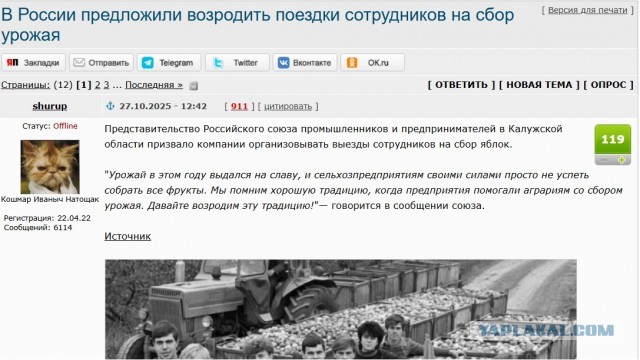 Мультфильм «Маша и Медведь» призывают запретить в России