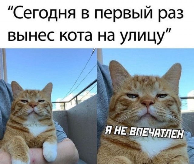 Так себе картинки 04.11.25