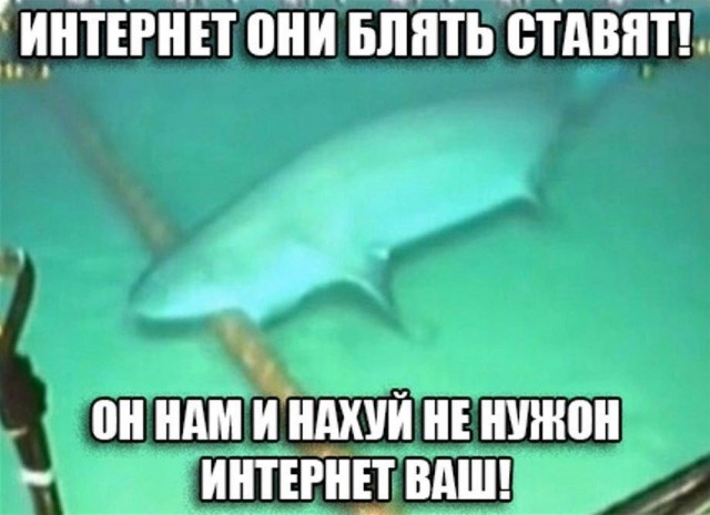 Картинки для деградации 81 (разной степени свежести)