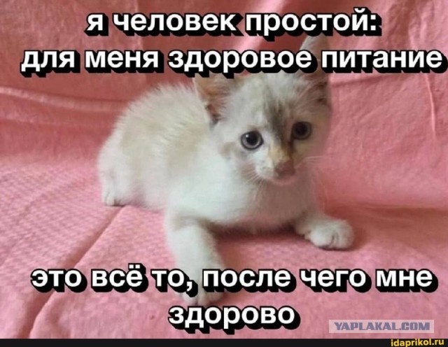 Забавные картинки, шутки из этих ваших интернетов