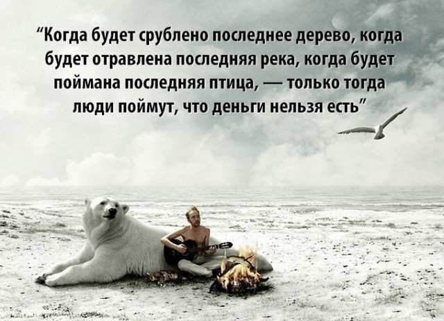 3000 гектаров векового леса под корень вырубают в Борском районе под видом земель сельхозназначения