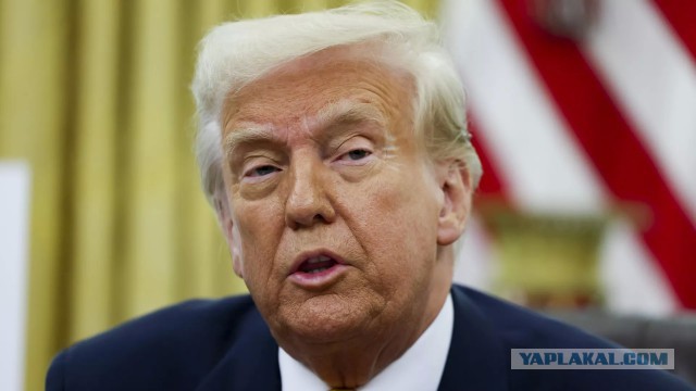 NYT: Трамп назвал спецпосланника Келлога идиотом после слов о Зеленском