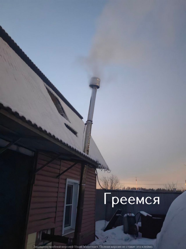 Жизнь домашнего приюта "Котоленд" 529
