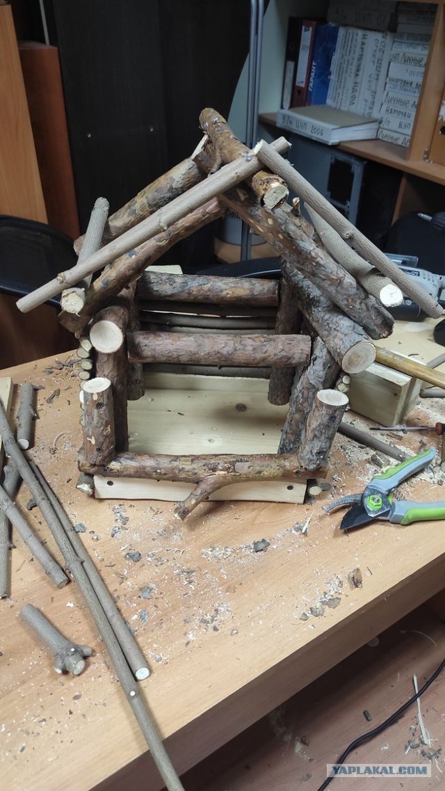 С белочкой нужно дружить заранее! Или пост про рукожопство.