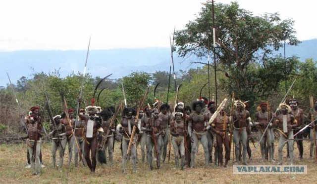 Еще одни присоединились