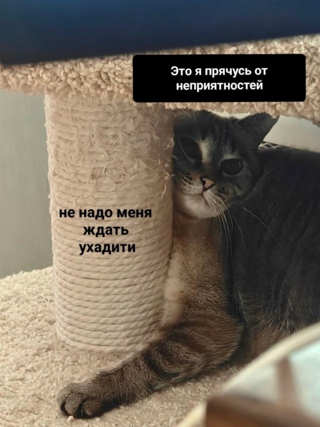 Немного картинок - продолжение 8