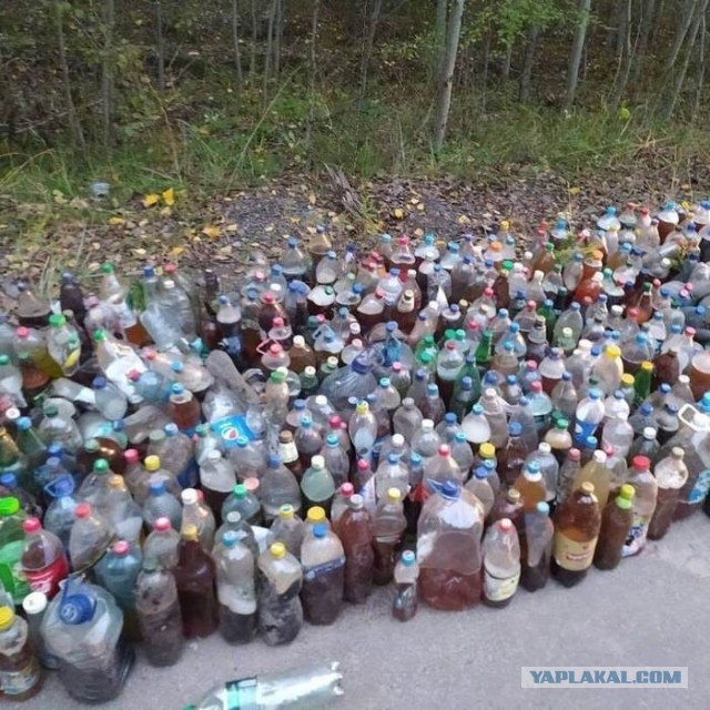 Опасный зверь