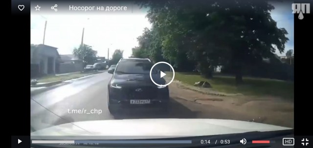 Забодал на дороге