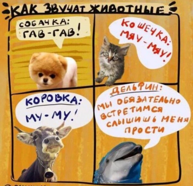 Подплыл поздороваться