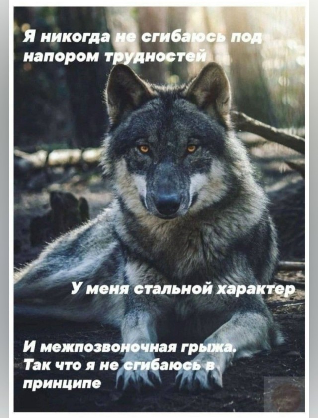 Веселые картинки в пятницу (17.07)