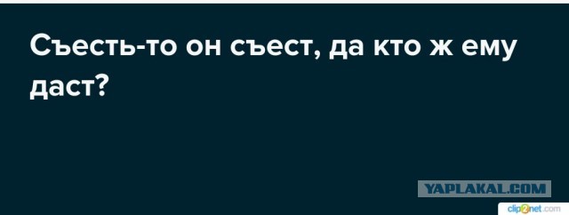 ФАС завела дело против Apple за непредустановку Max на iOS-устройства