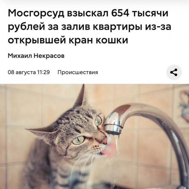 Она просто хотела попить водички...