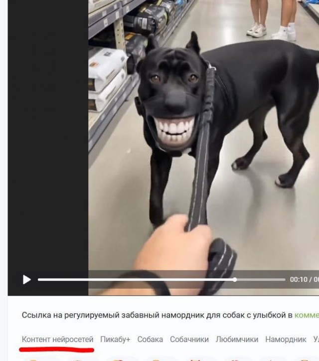 Намордник