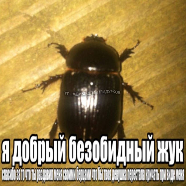 Прикольные и просто красивые картинки 23.10.2026