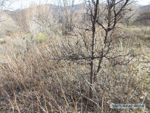 Как я в горы ходил
