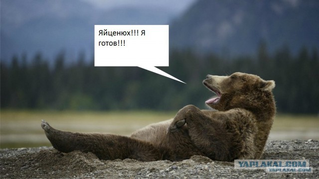 Новый мидвет!