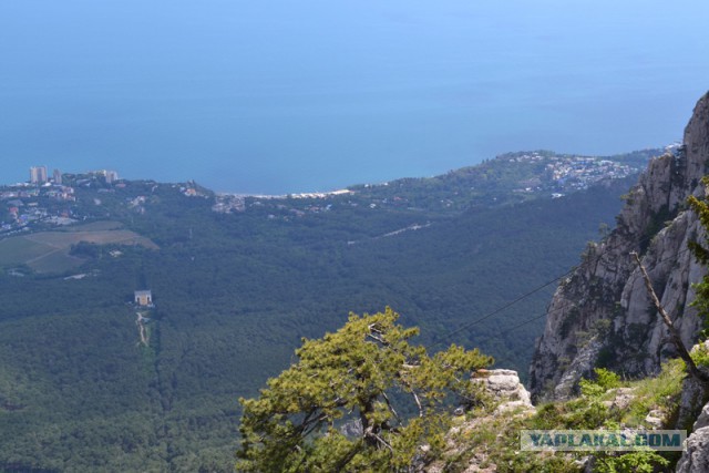 Отдых в Крыму 2014