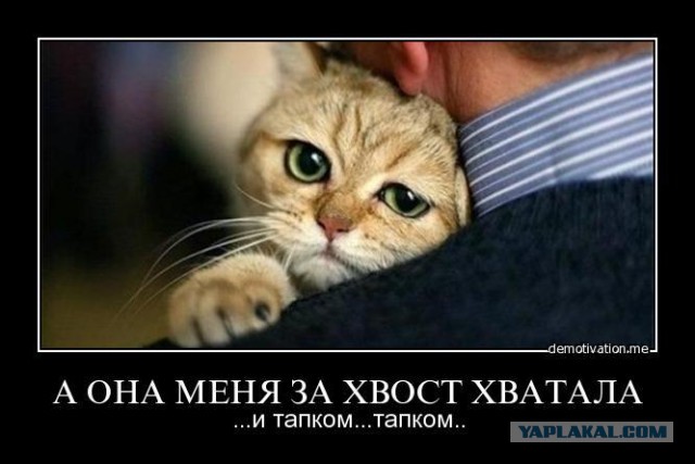Для поднятия настроения