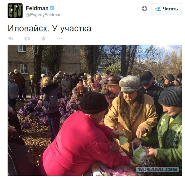 Выборы в Новороссии