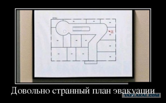 Весёлое из сети