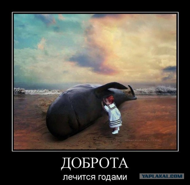 Сильные фотографии!