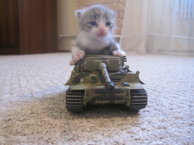 Wargaming 18
