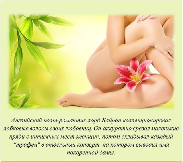 20 фактов обо всем
